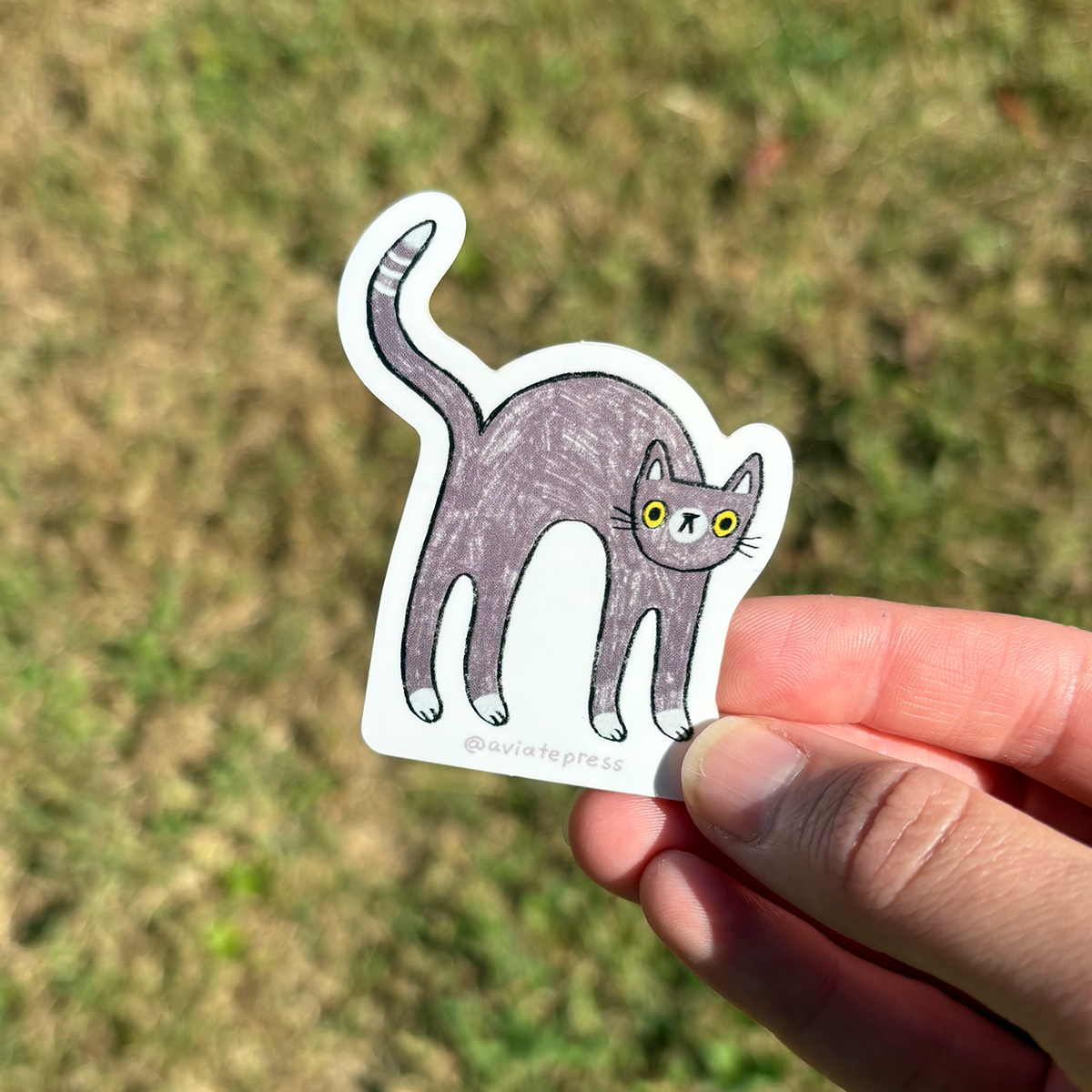 Scaredy Cat Sticker