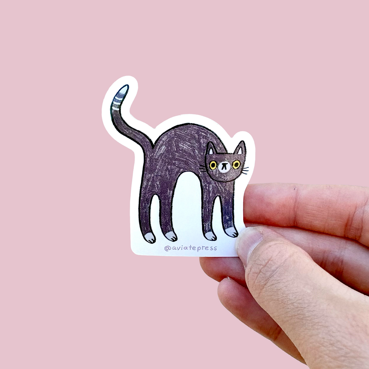 Scaredy Cat Sticker